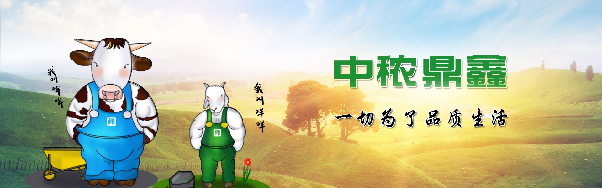 電纜故障測(cè)試儀圖片