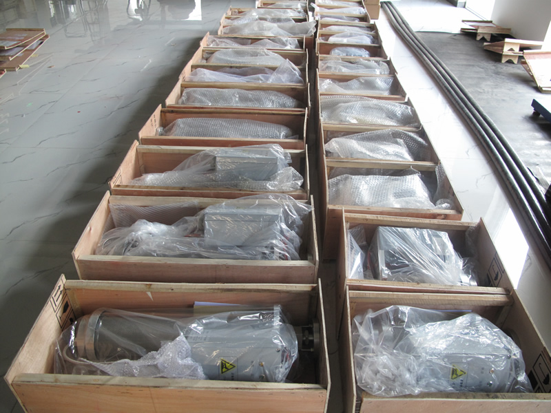 ��S�o�������DƬ1