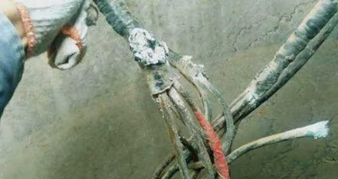 �L���^ؓ���\��